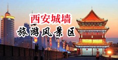 口述摸乳破处嗯啊嗯啊嗯啊中国陕西-西安城墙旅游风景区