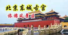 麻豆羞羞答答网页中国北京-东城古宫旅游风景区
